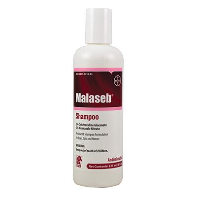 bayer malaseb shampoo